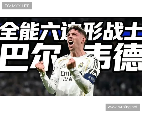 巴尔韦德全能定位与技能专精度解析 巴尔韦德全能定位与技能专精度解析