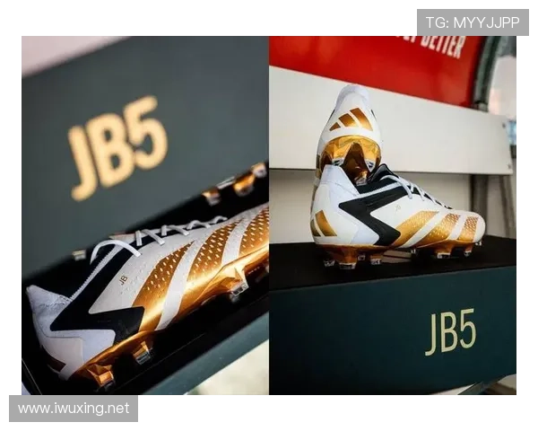 贝林厄姆与弗雷德在控球倾向下出现推动方式分化